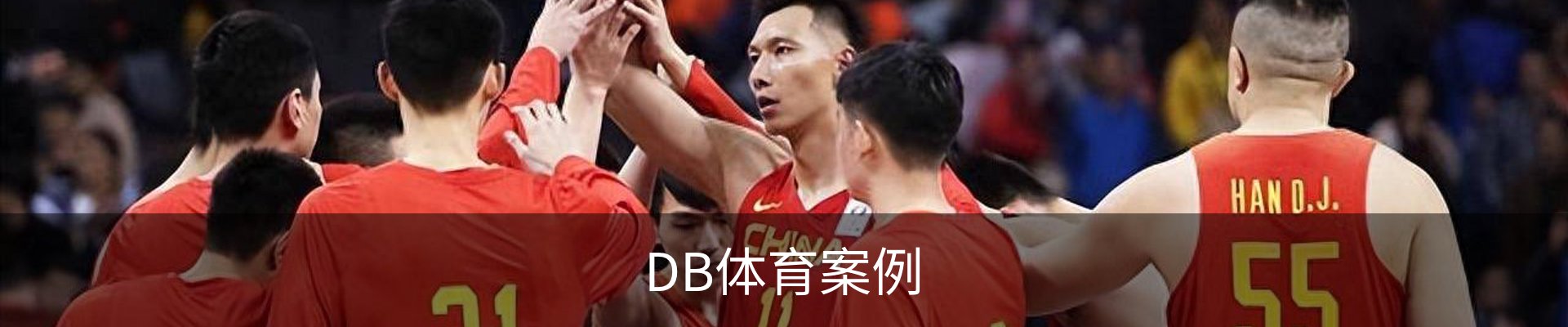 DB体育案例